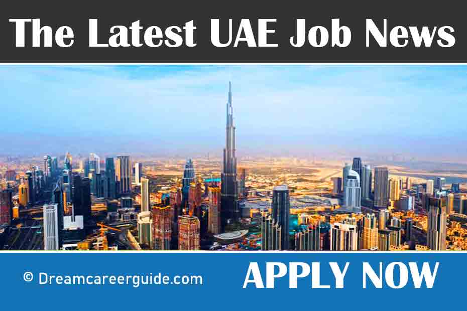 Jobs in Dubai for Freshers