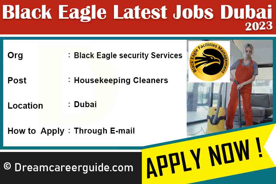 Black Eagle Security & Cleaning Services Jobs Latest 2023