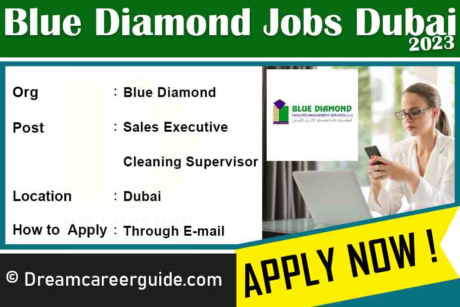 Blue Diamond Group Careers Latest Job Openings 2023